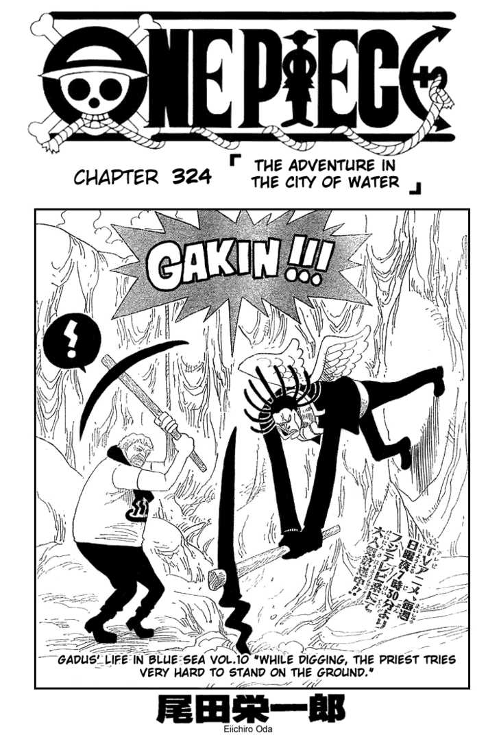 One Piece manga Chapter 324