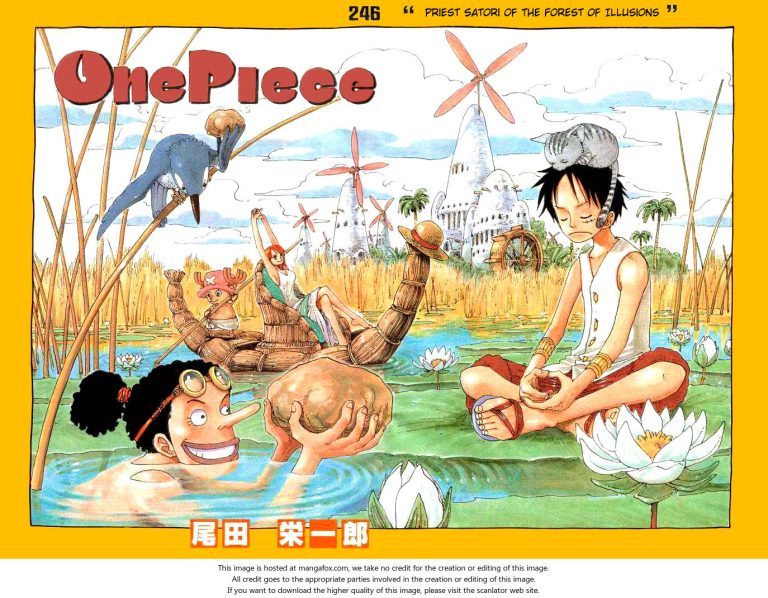 One Piece manga Chapter 246