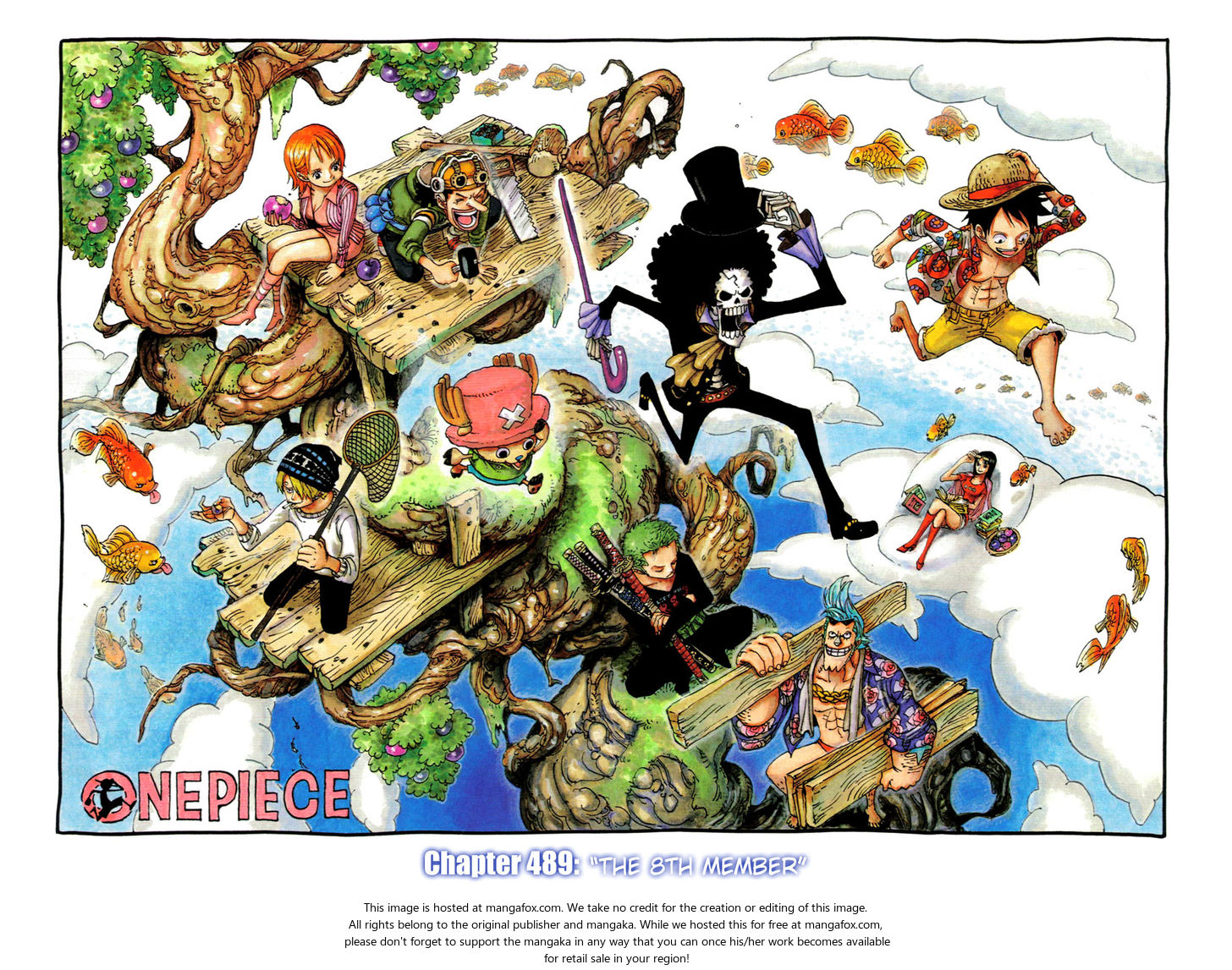 One Piece manga Chapter 489