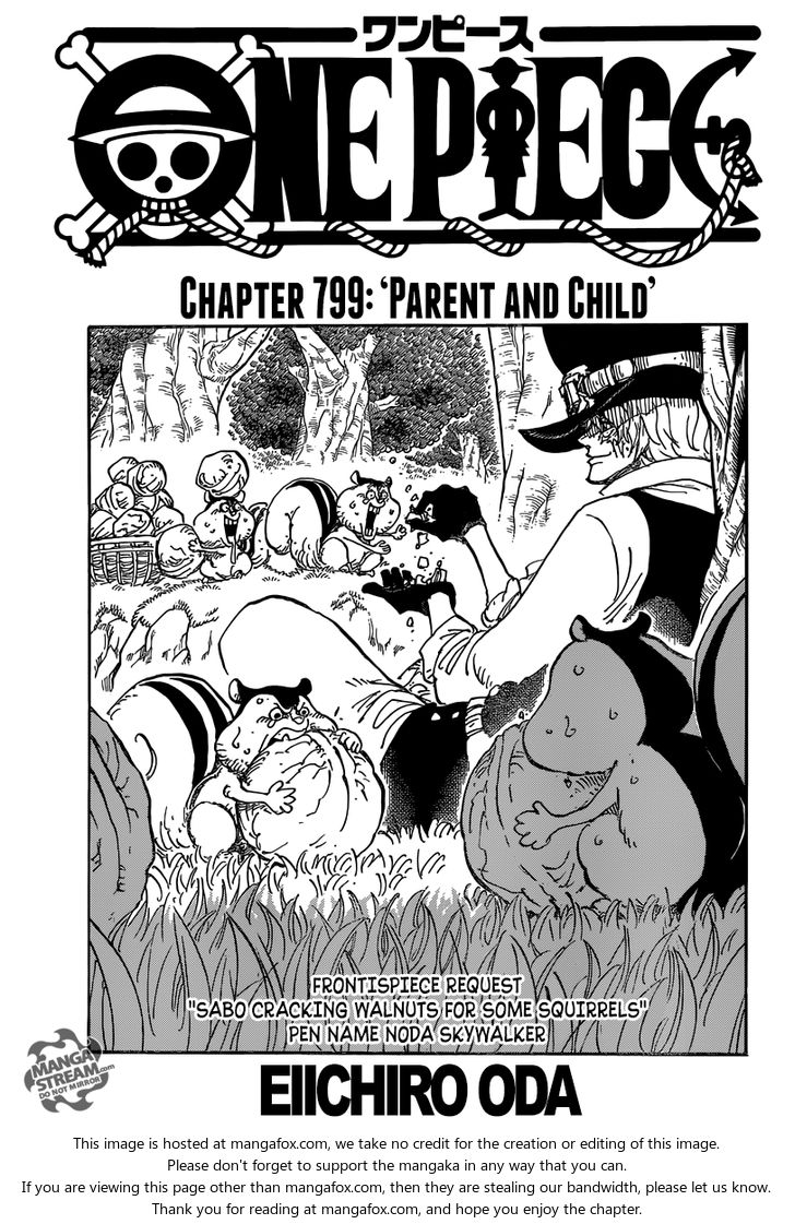 One Piece manga Chapter 799