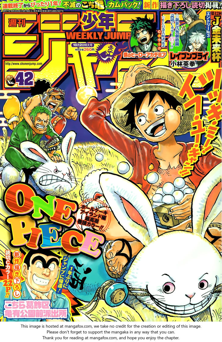 One Piece manga Chapter 878