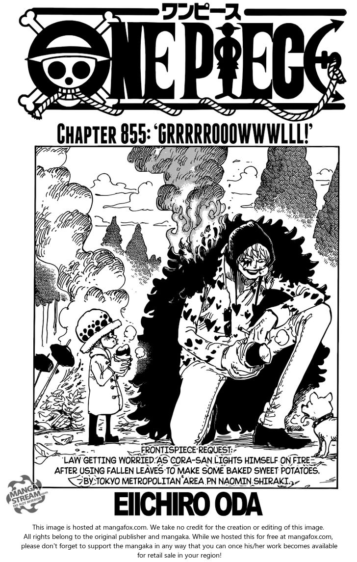 One Piece manga Chapter 855
