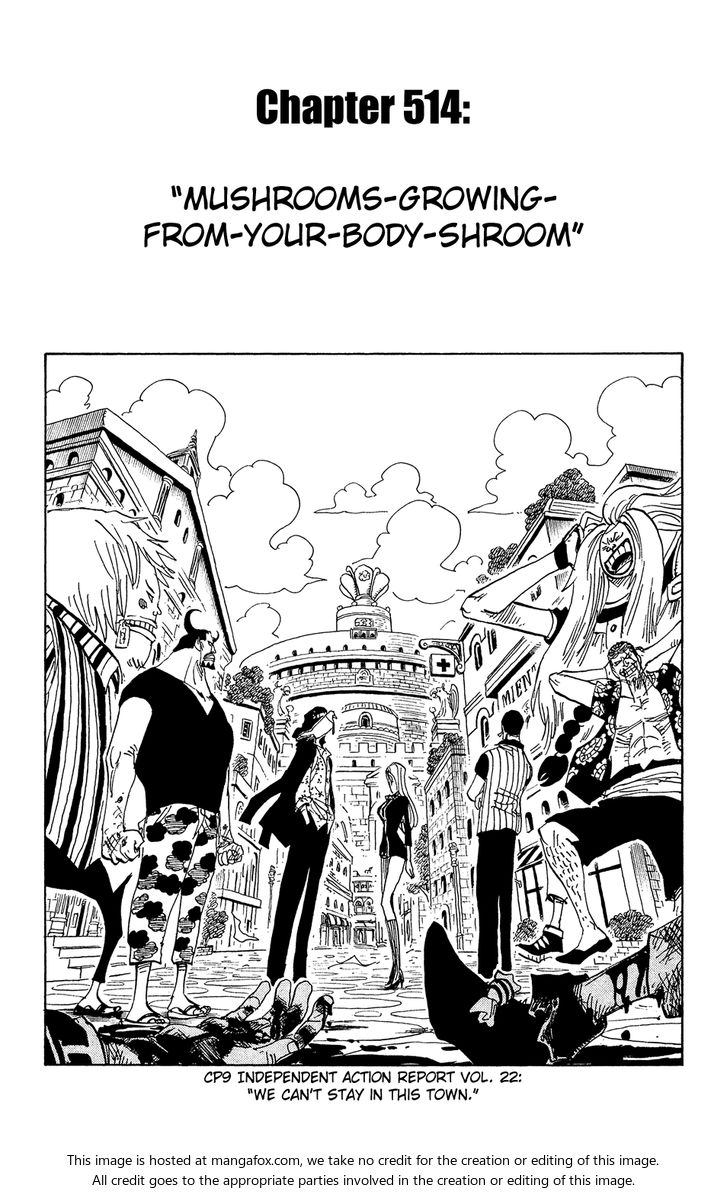 One Piece manga Chapter 514