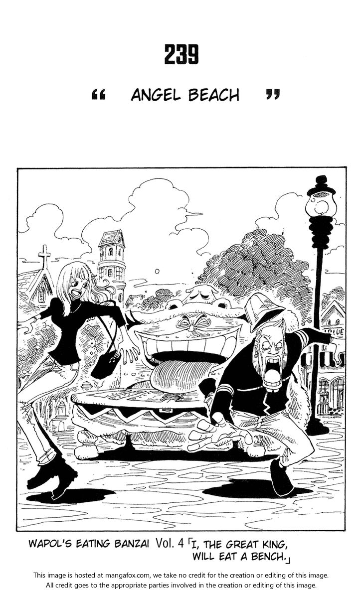 One Piece manga Chapter 238