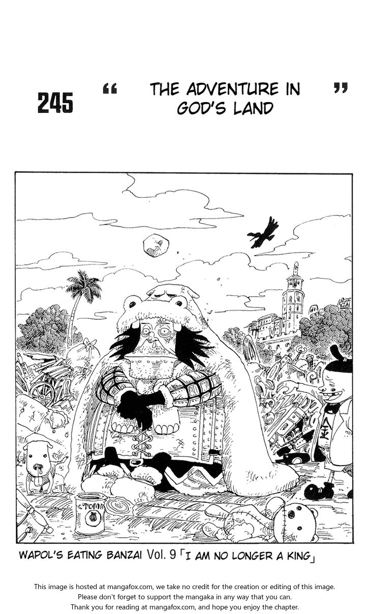 One Piece manga Chapter 245