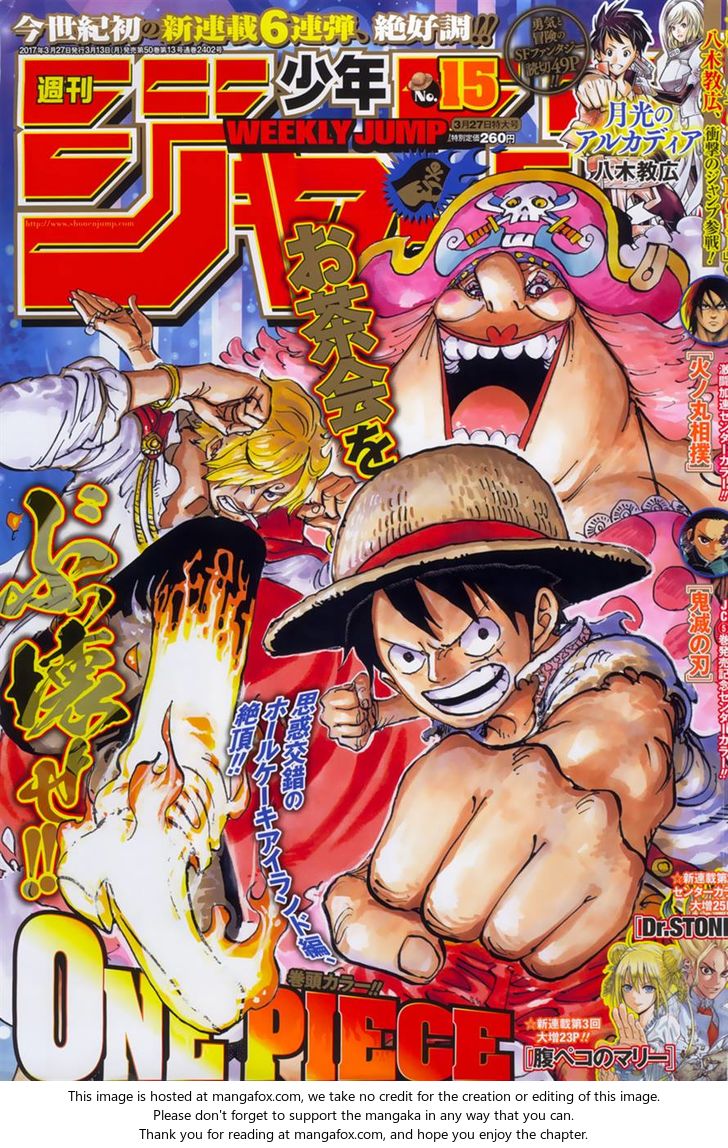 One Piece manga Chapter 858